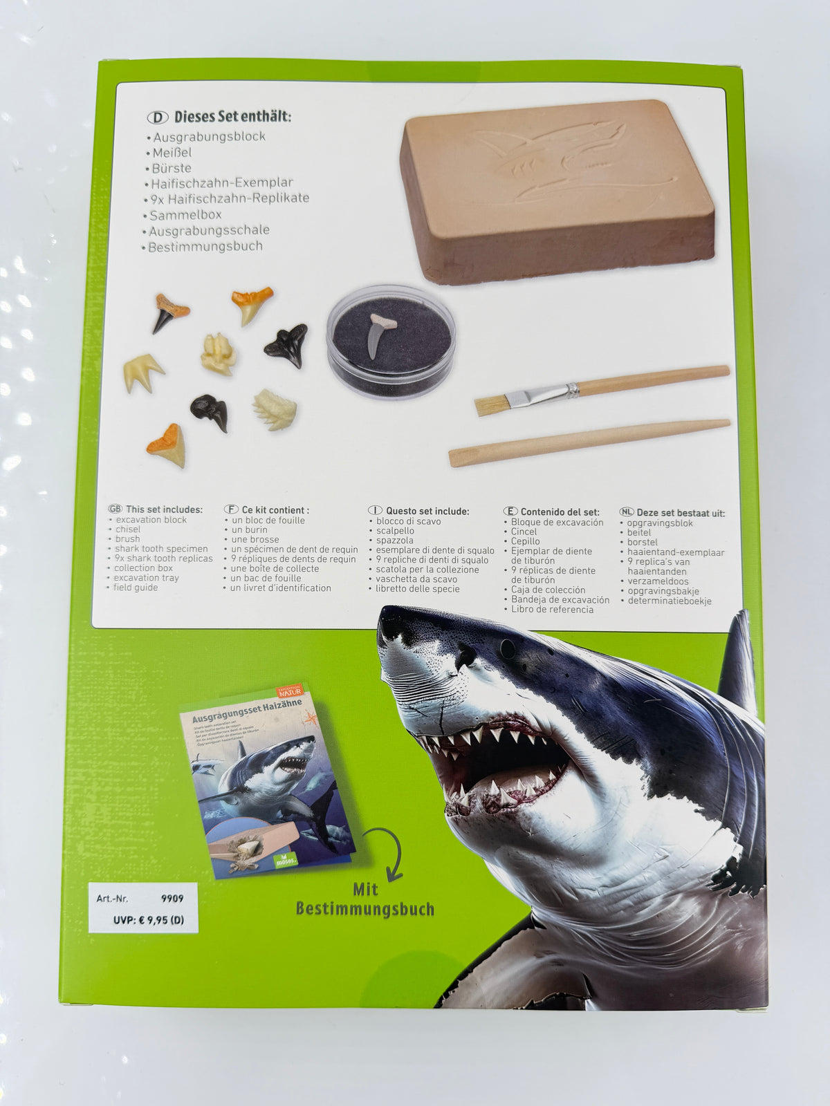 Ausgrabungsset mit Gipsblock, Haifischzahn-Repliken, Sammelbox, Holzmeißel, Pinsel und Booklet