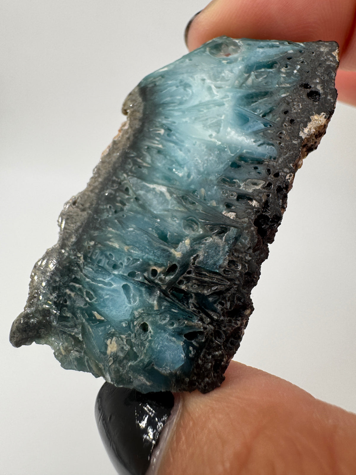 Eine Scheibe aus Blue Ice Glacierite mit polierter Oberfläche und charakteristischen Farbe von weiß, blau und schwarz.