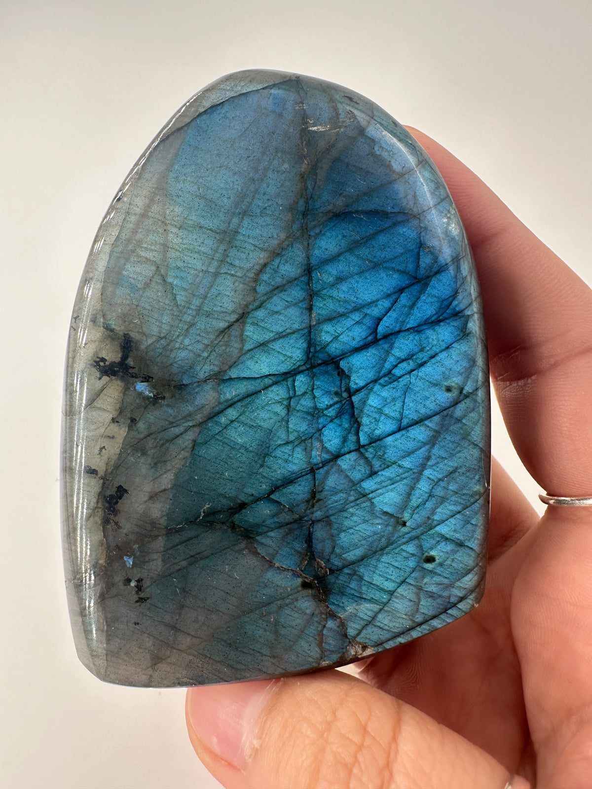 Labradorit Freiform LFF38, 8 × 6 cm, poliertes Feldspatmineral mit blauen Labradoreszenz-Schimmer, Sammlerstück