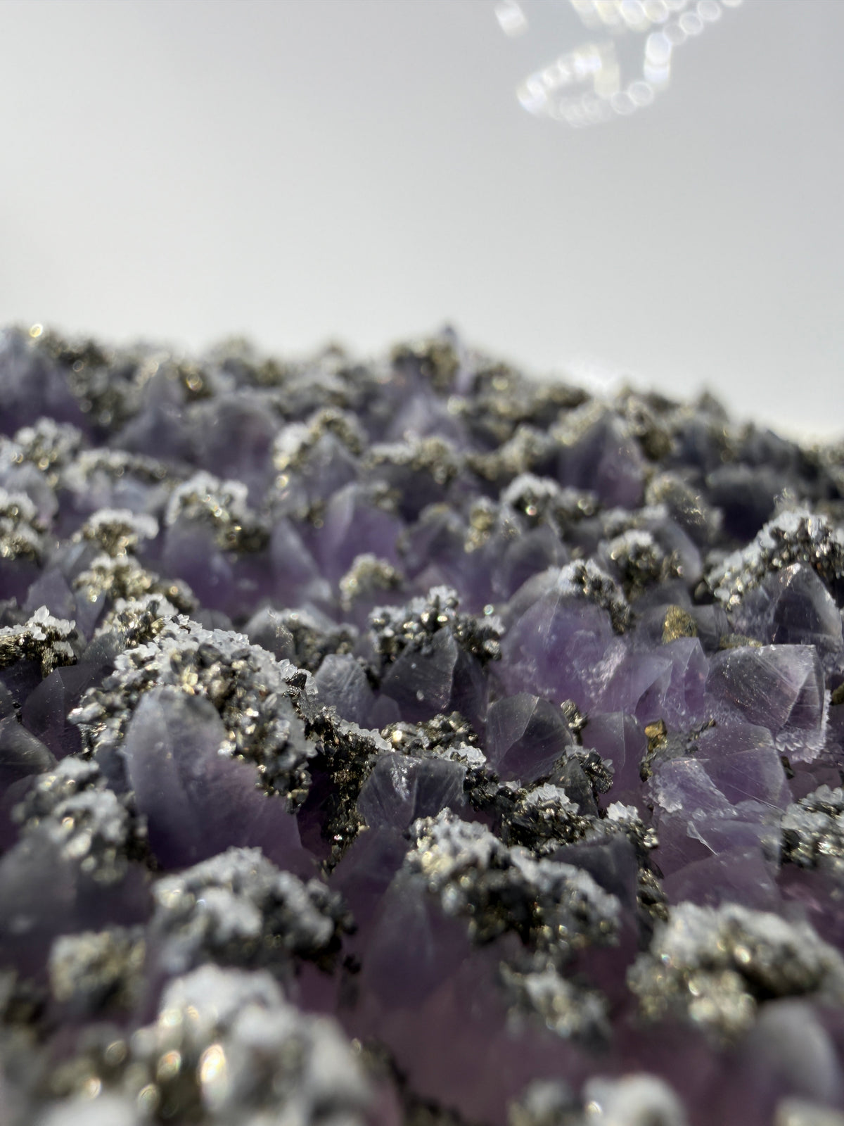 Amethyst mit Pyrit, tief-violette Kristallspitzen mit metallisch schimmerndem Pyrit und Quarz, aus der Davidkovo Mine in Bulgarien.