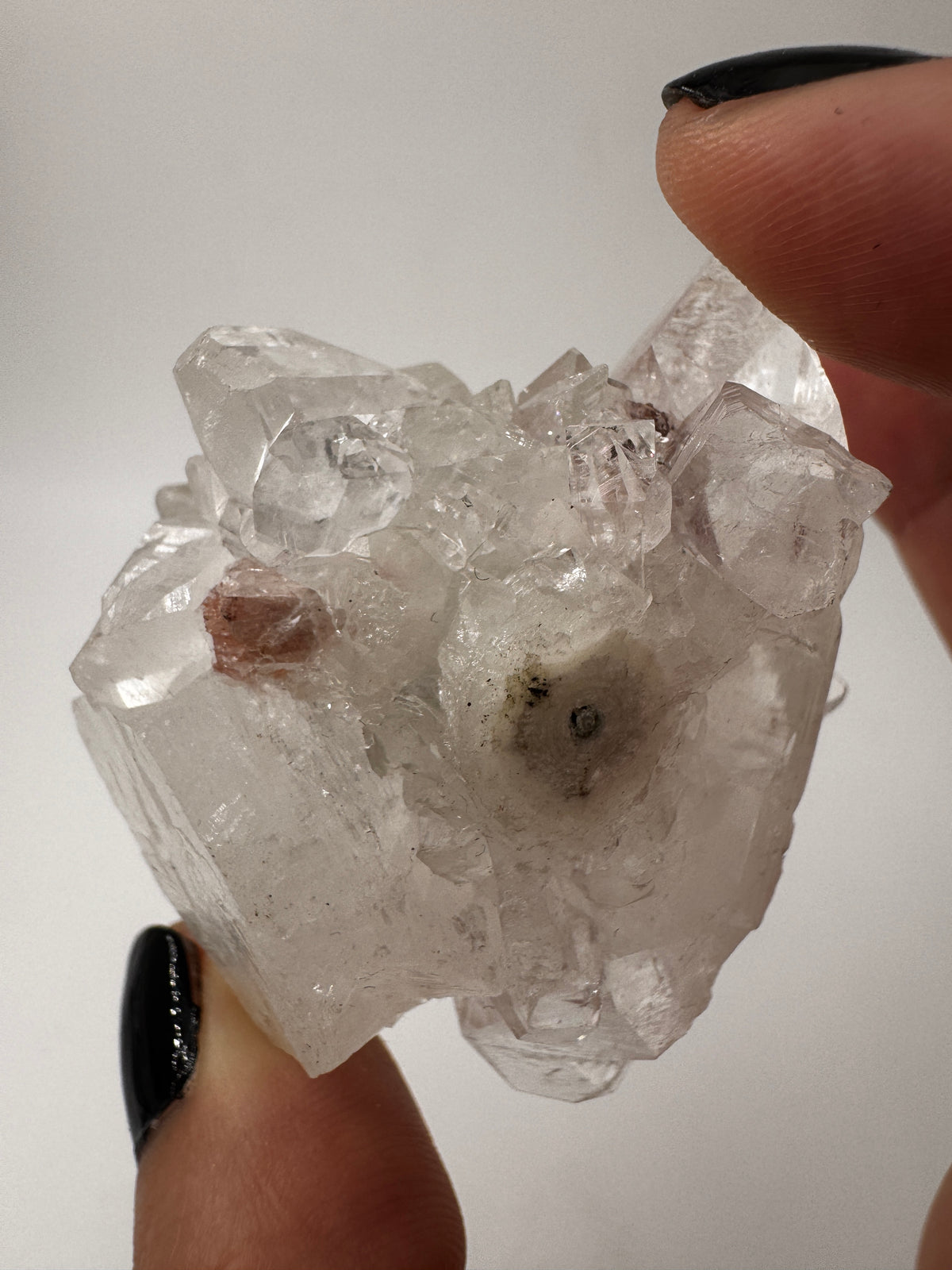 Apophyllit AR14 aus Indien mit glasklaren tetragonalen Prismen und Perlmuttglanz.
