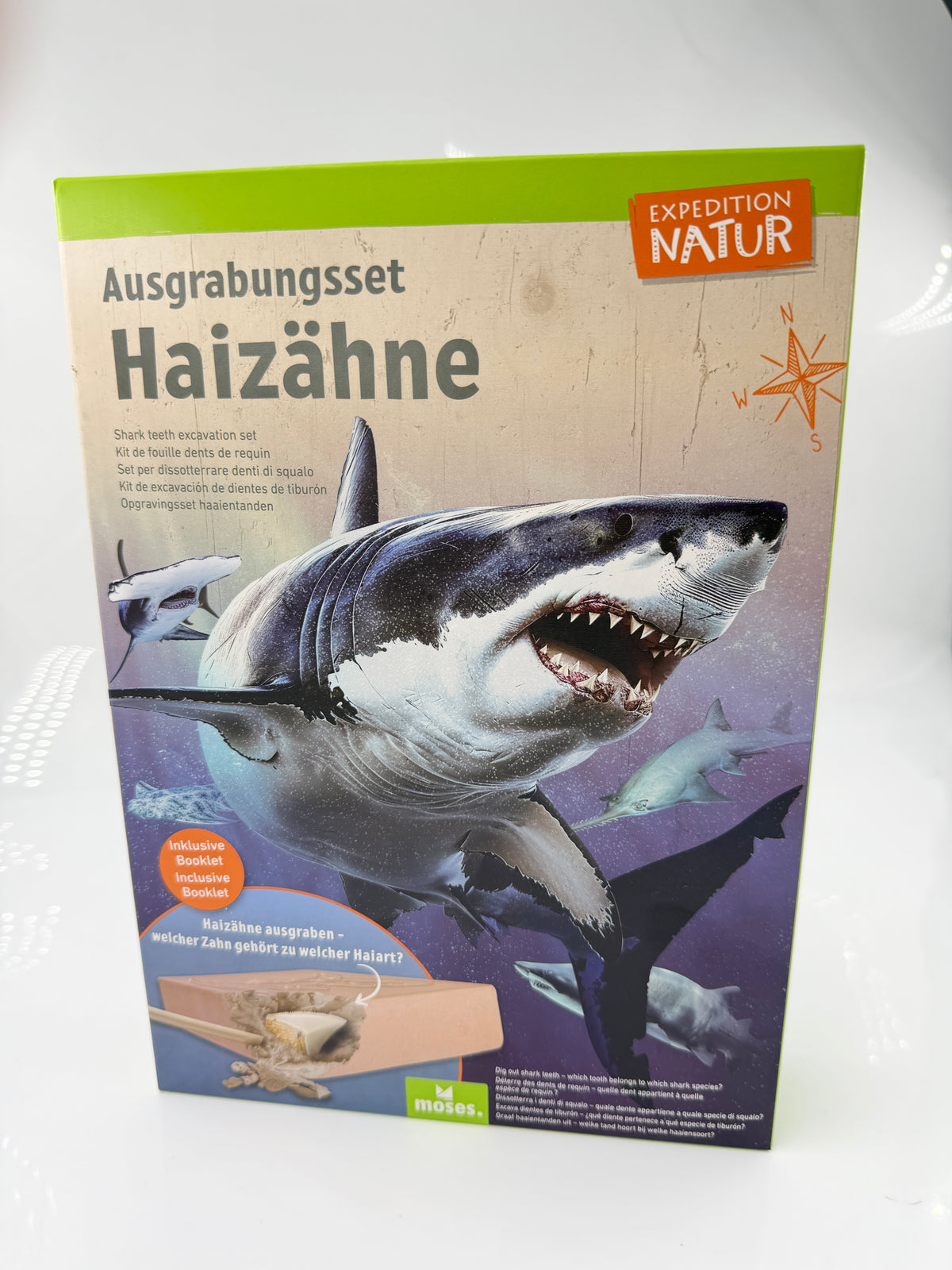 Ausgrabungsset mit Gipsblock, Haifischzahn-Repliken, Sammelbox, Holzmeißel, Pinsel und Booklet
