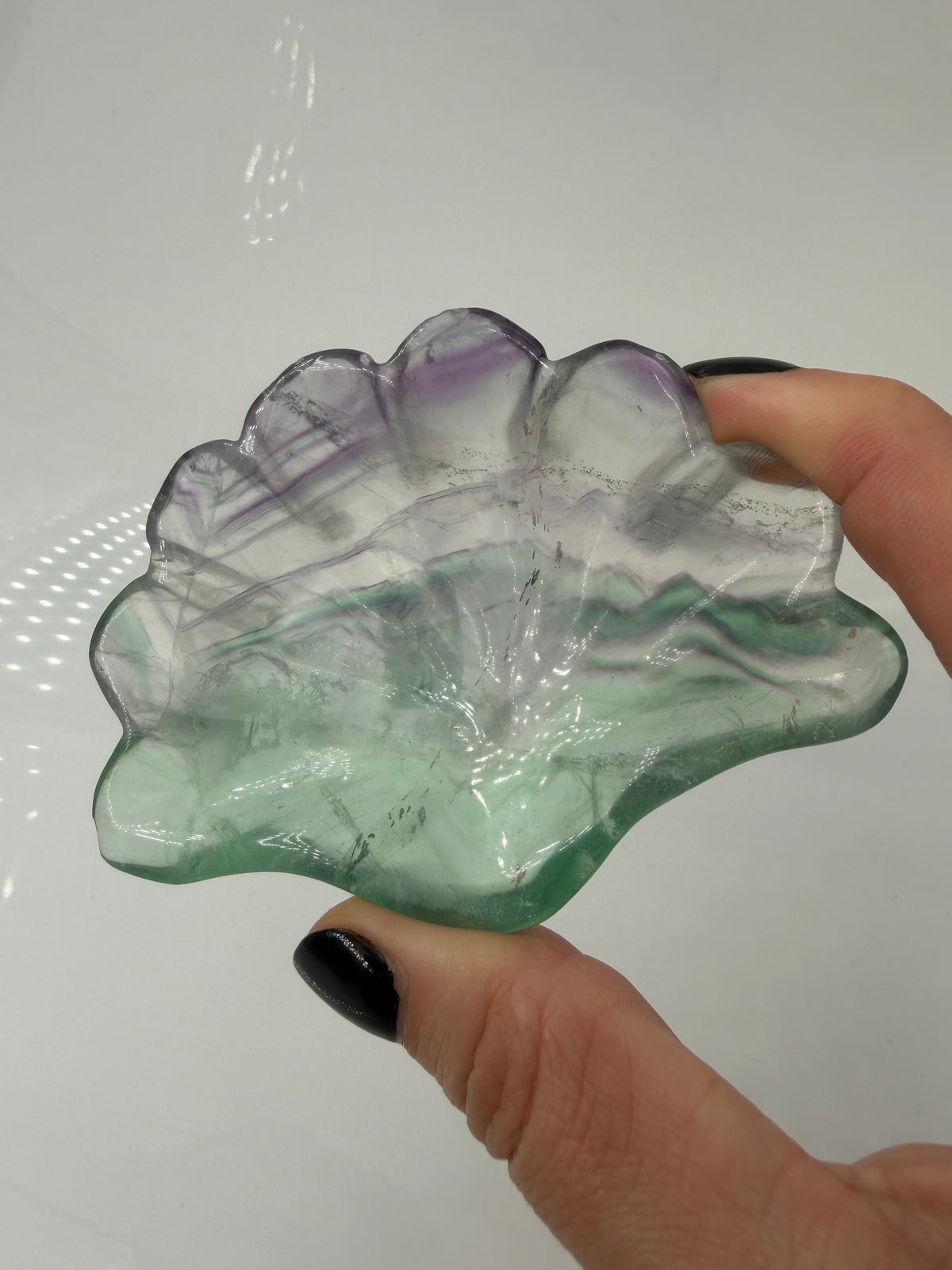 Eine kunstvoll geschnitzte Muschelschale aus transparentem Fluorit, die durch ihre natürlichen, violetten und grünen Farbbänderungen sowie eine seidig glänzende Politur besticht.