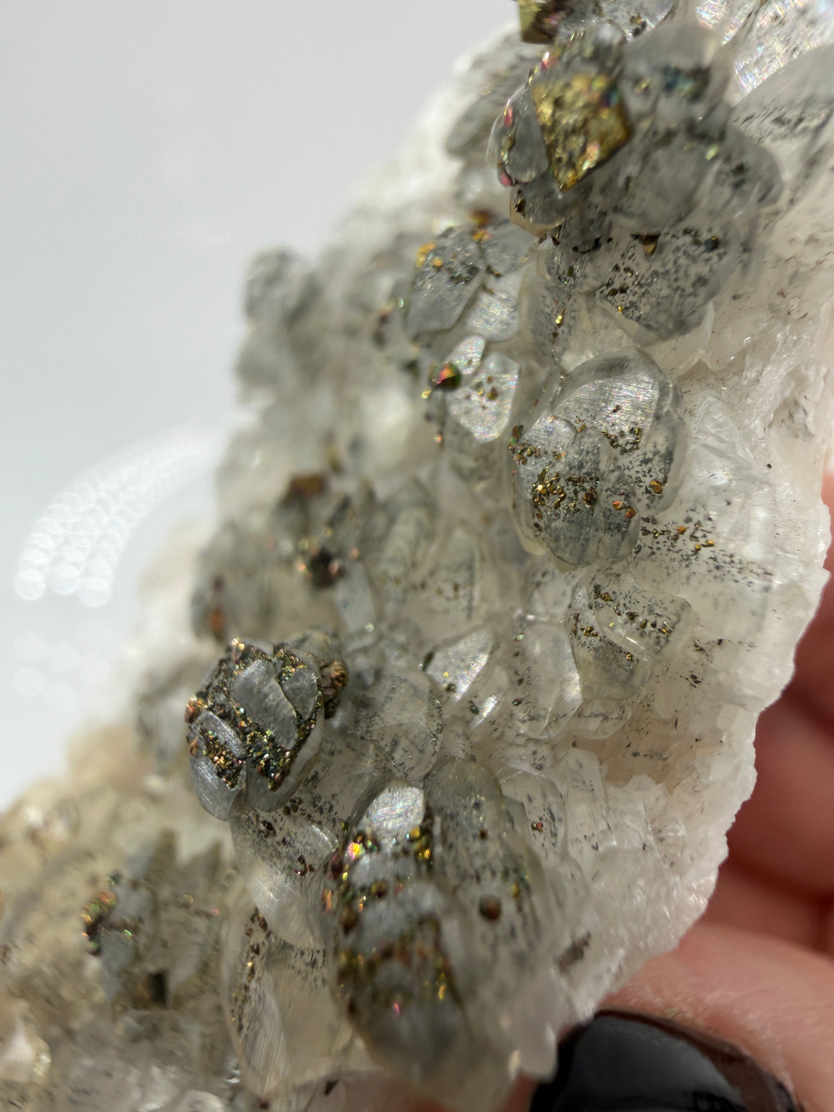 Weißer Calcit mit goldglänzenden Pyrit-Kristallen auf Gesteinsmatrix aus Herdringen, Sauerland.