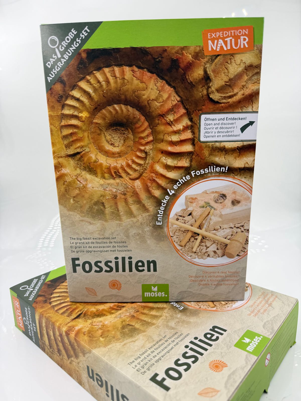 Fossilien-Ausgrabungsset mit Gipsblock, vier echten Fossilien, Holzwerkzeugen, Lupe, Aufbewahrungsbeutel und Booklet