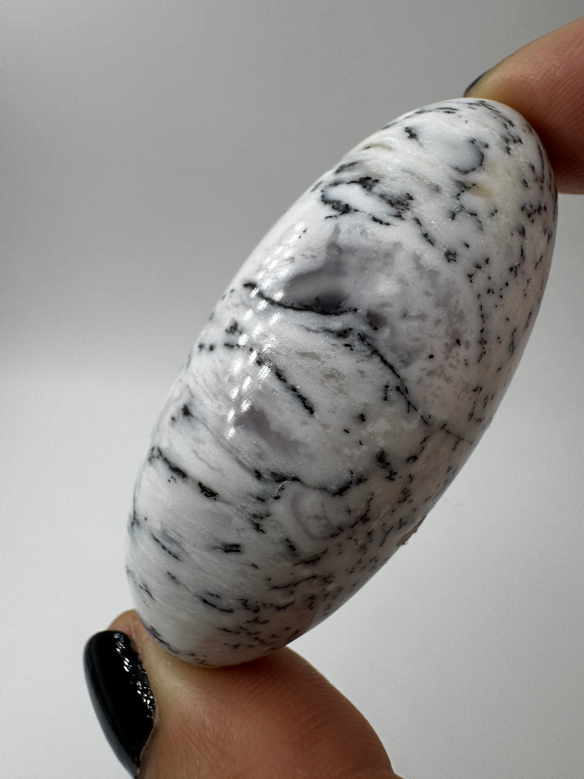 Ein eiförmig geschliffener, weißer Dendritenopal mit markanten, schwarzen Verästelungen und hochglänzender Oberfläche.