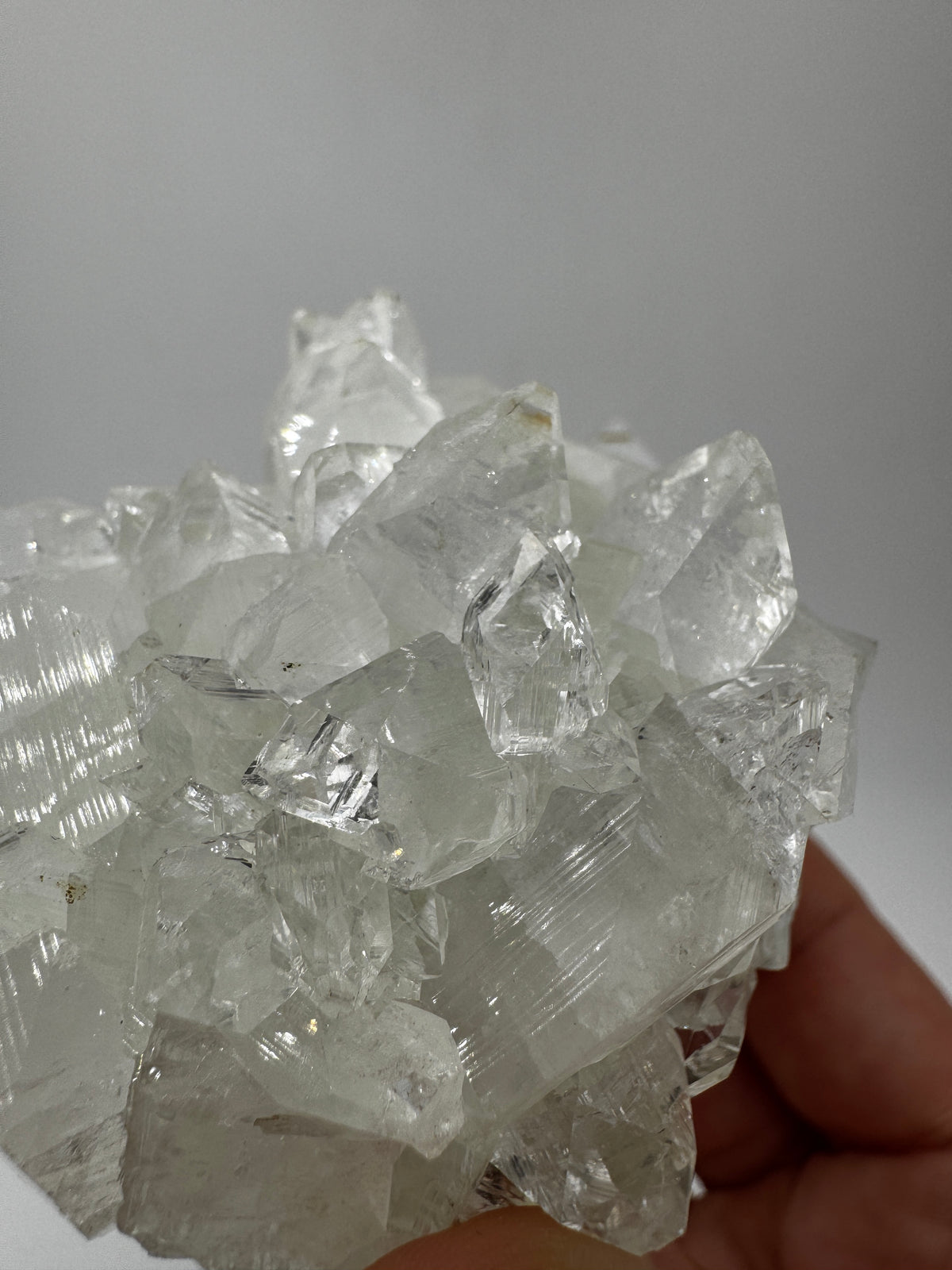 Apophyllit AR66 aus Indien mit glasklaren tetragonalen Prismen und Perlmuttglanz.