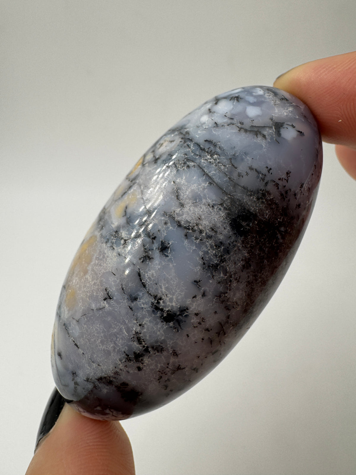 Ein eiförmig geschliffener, weißer Dendritenopal mit markanten, schwarzen Verästelungen und hochglänzender Oberfläche.