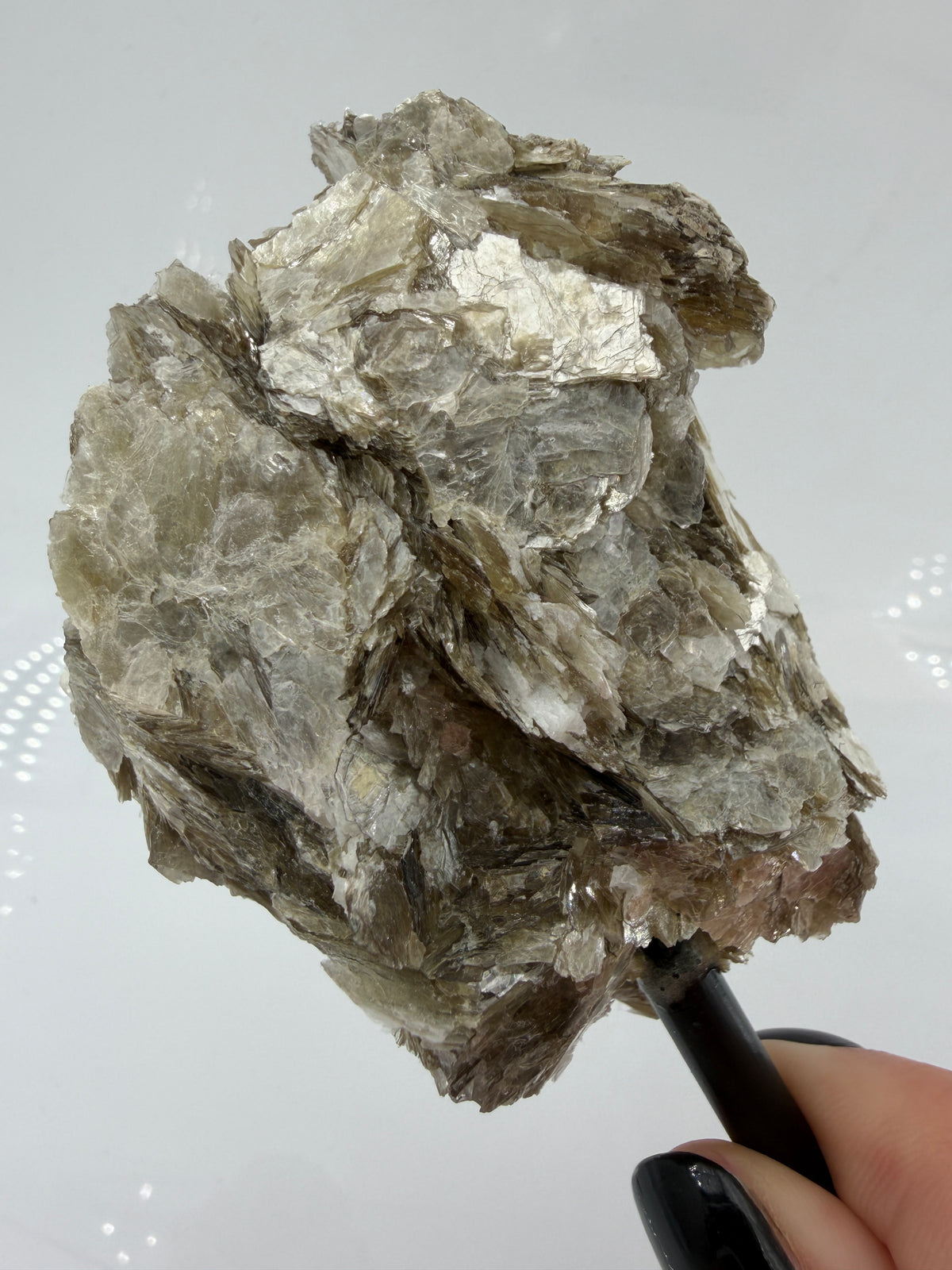 Silbrig glänzender Muskovit-Glimmer auf einem schwarzen Metallständer zur dekorativen Präsentation.