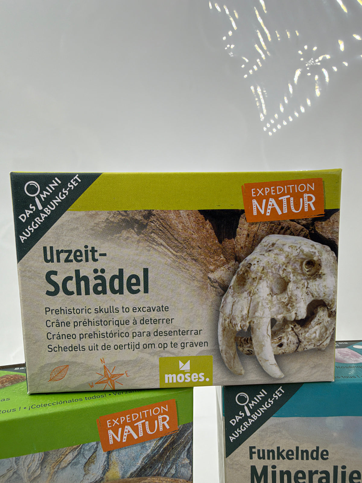 Mini-Ausgrabungsset mit Holzmeißel, Pinsel und Sammelkarte zum Entdecken von Fossilien, Mineralien und weiteren Fundstücken