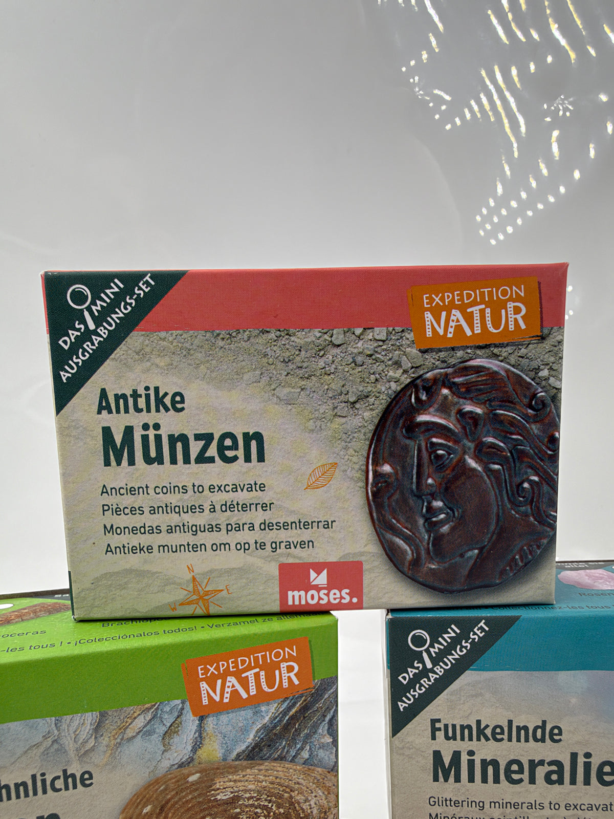 Mini-Ausgrabungsset mit Holzmeißel, Pinsel und Sammelkarte zum Entdecken von Fossilien, Mineralien und weiteren Fundstücken