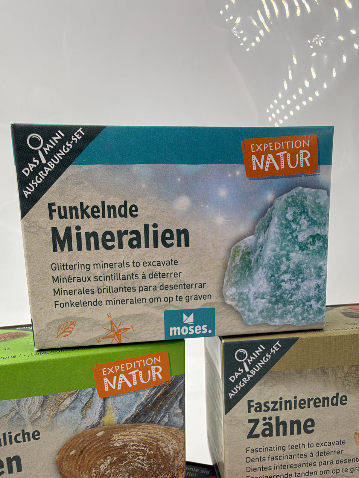Mini-Ausgrabungsset mit Holzmeißel, Pinsel und Sammelkarte zum Entdecken von Fossilien, Mineralien und weiteren Fundstücken