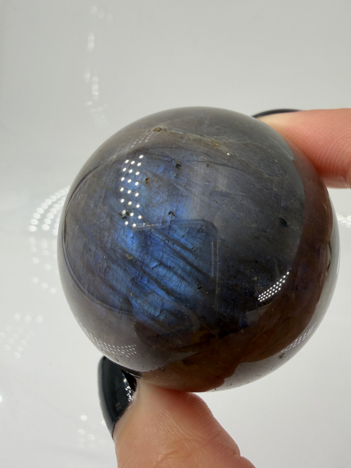 Sphärisch geschliffene dunkle Mondstein Kugel mit ausgeprägtem blauen Flächenschiller (Adulareszenz) auf anthrazitfarbener Feldspat-Matrix, professionelle Sammlerqualität                       