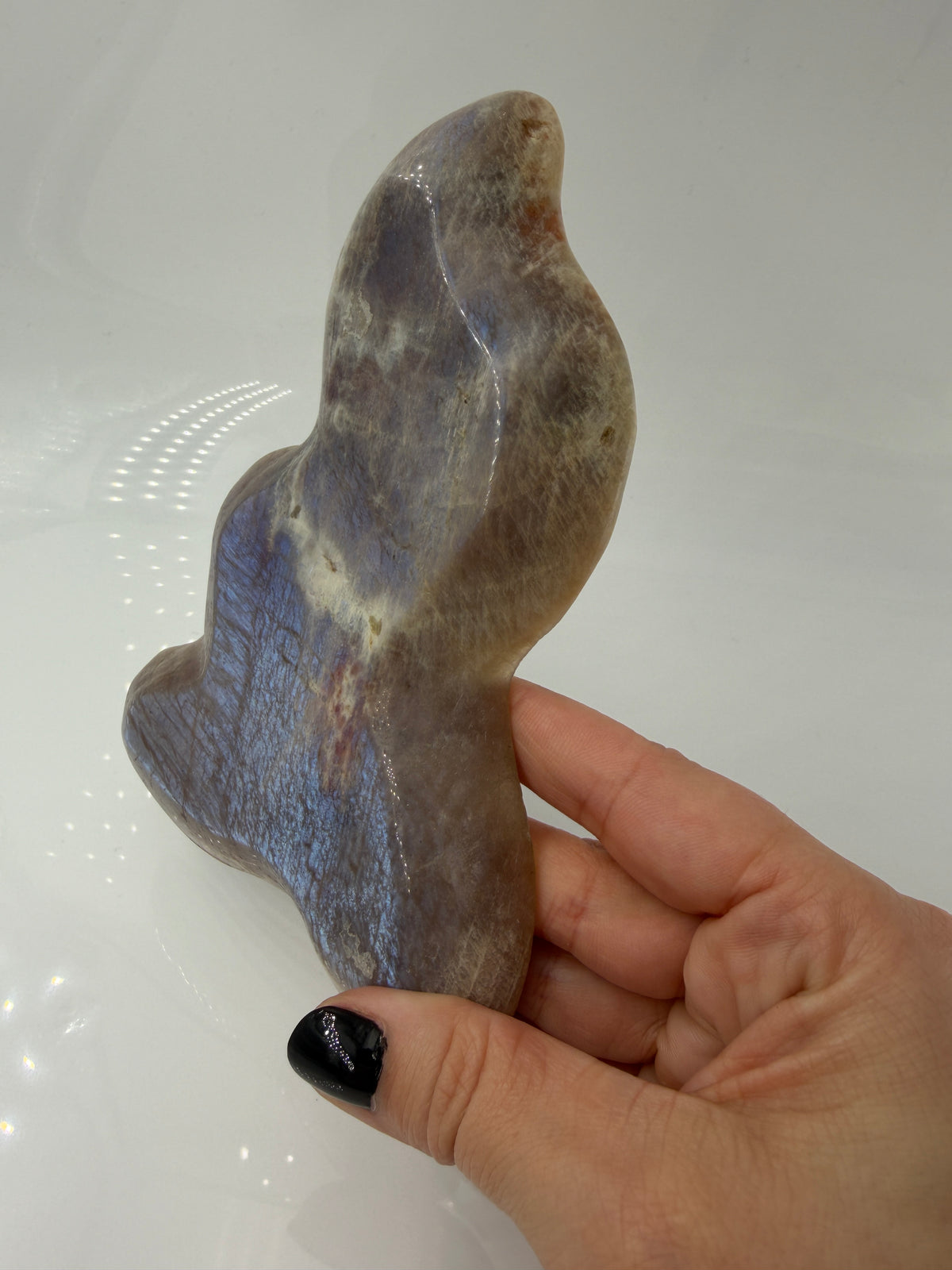 Polierte Schale aus weißem Mondstein mit charakteristischem bläulichem Schimmer (Adulareszenz).