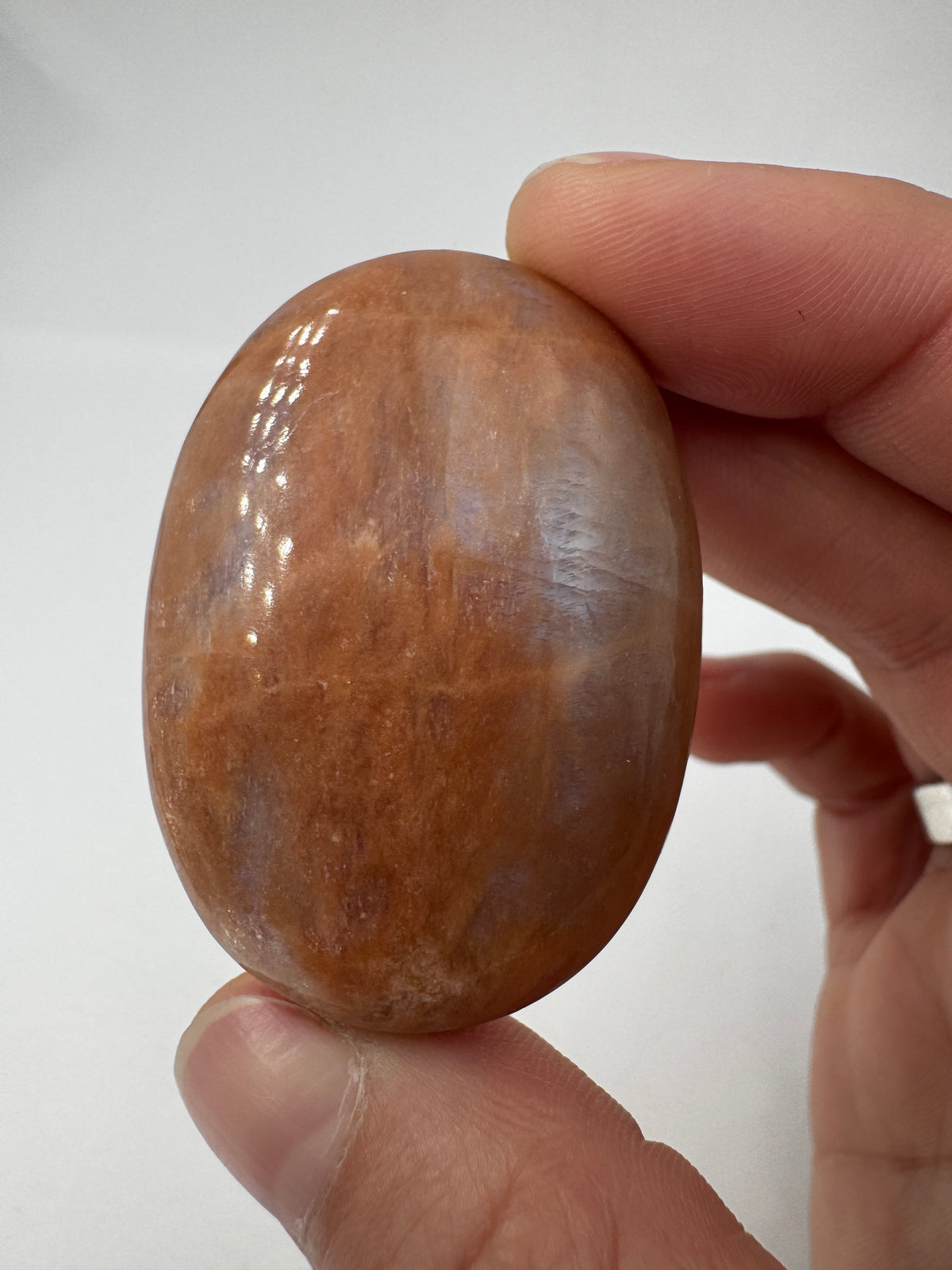 Polierter Scheibenstein aus Mondstein, 4,7 x 3,4 cm – transparentes Mineral mit sanftem blauem Adulareszenz-Schimmer auf glatter Oberfläche.