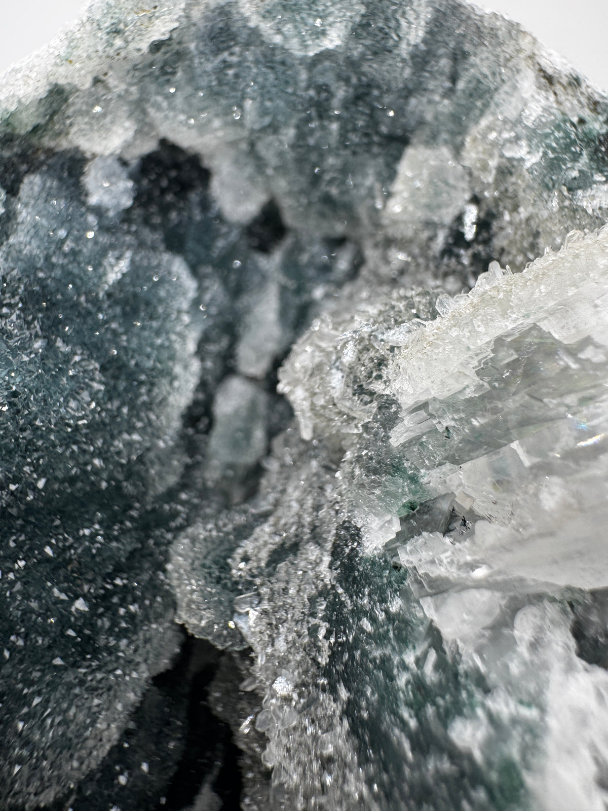 Teal-Chalcedon TC46 aus Indien mit botryoidaler Wachstumsform in tiefem Blaugrün.