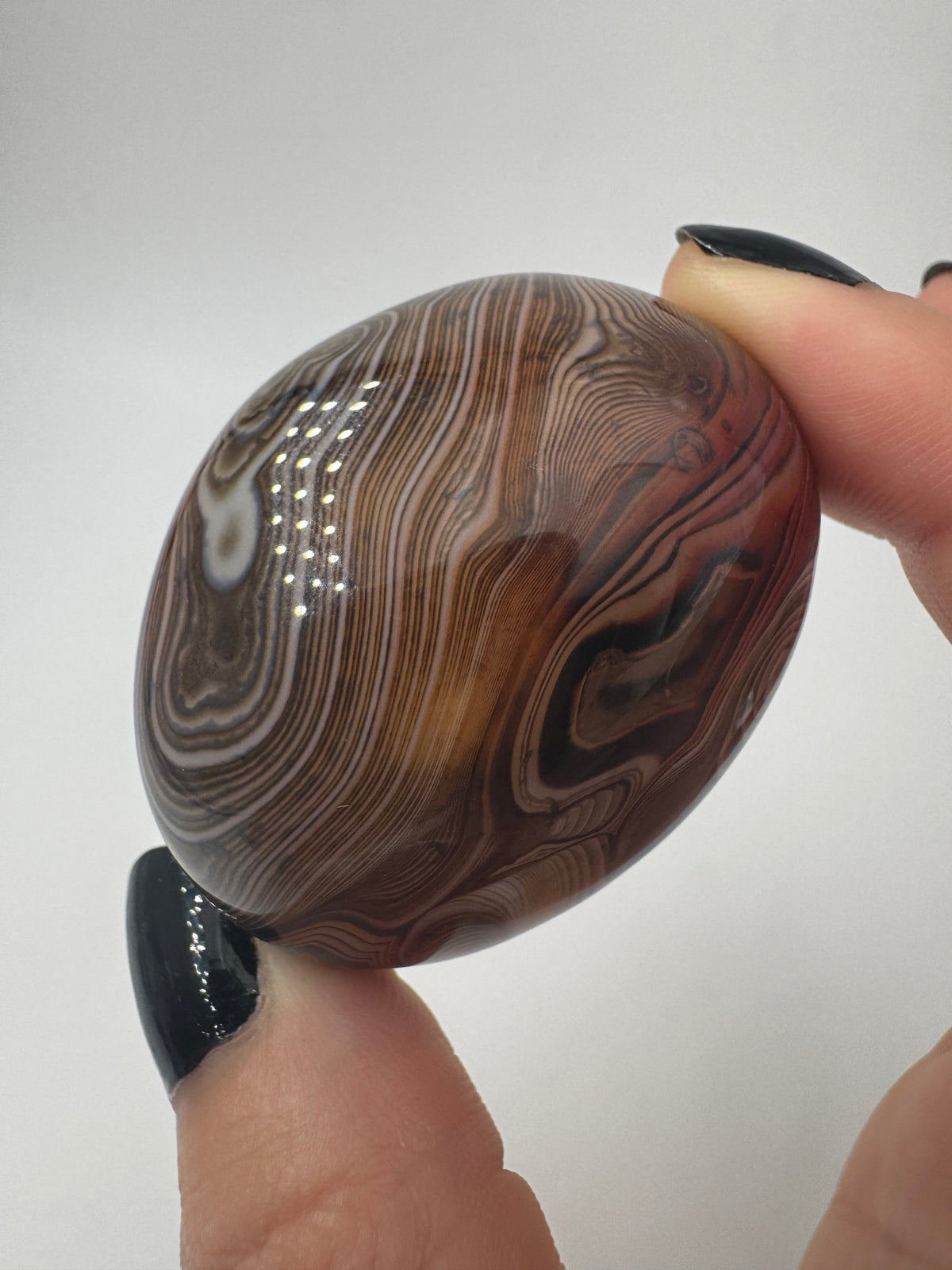 Eine Sardonyx-Freiform präsentiert ihre scharf abgegrenzten, weiß-braunen Farbschichten unter einer glänzenden Oberflächenpolitur.